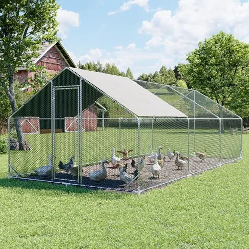 polar aurora pet supplies category